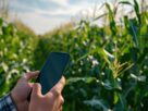 WhatsApp no Agro: Agricultores Fecham Negócios Todos os Dias