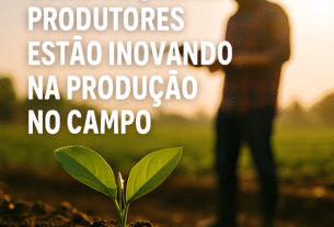 Como pequenos produtores estão inovando na produção do campo