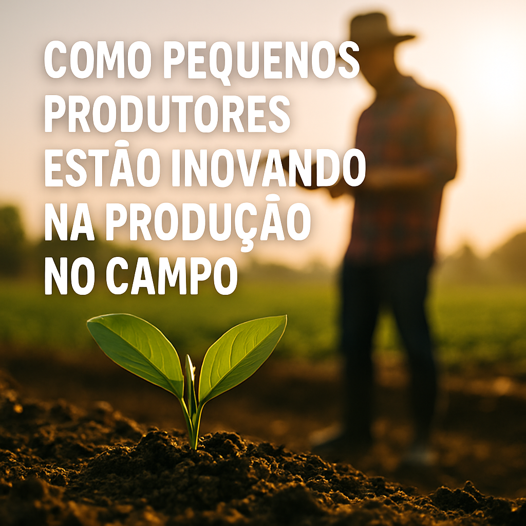Como pequenos produtores estão inovando na produção do campo