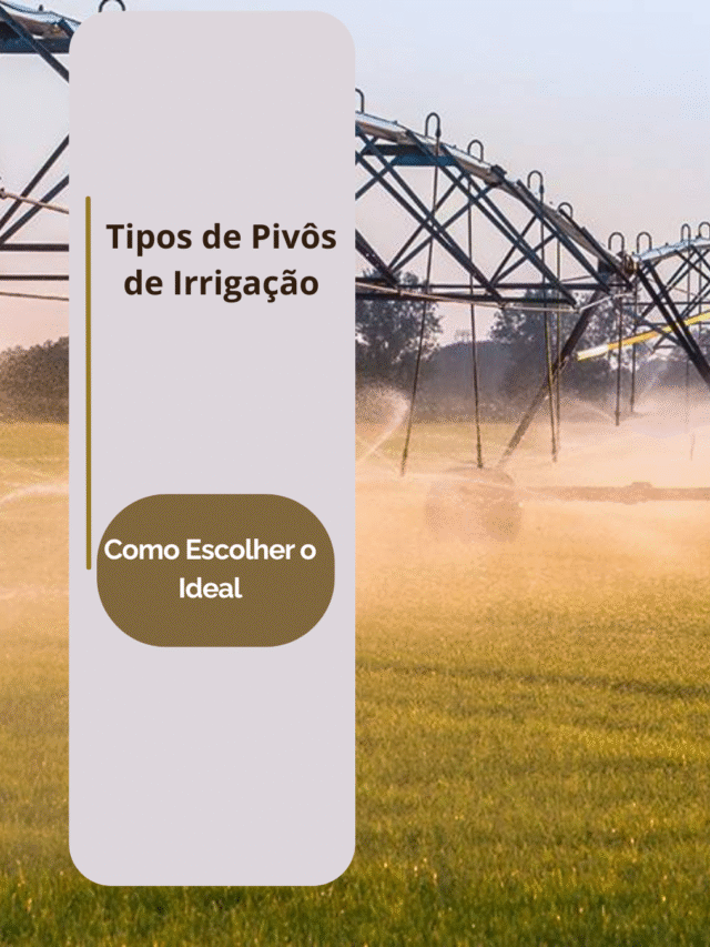 Tipos de pivôs  como escolher o ideal